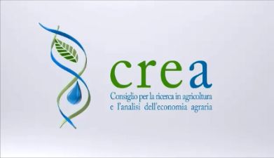 crea ente 6