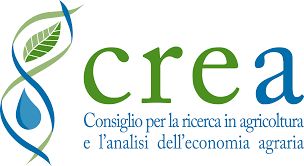 crea ente logo